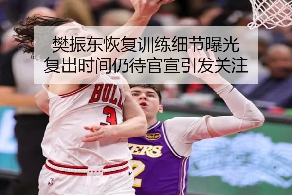 樊振东恢复训练细节曝光 复出时间仍待官宣引发关注